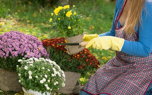 Inspector examining a garden during a maintenance review visit